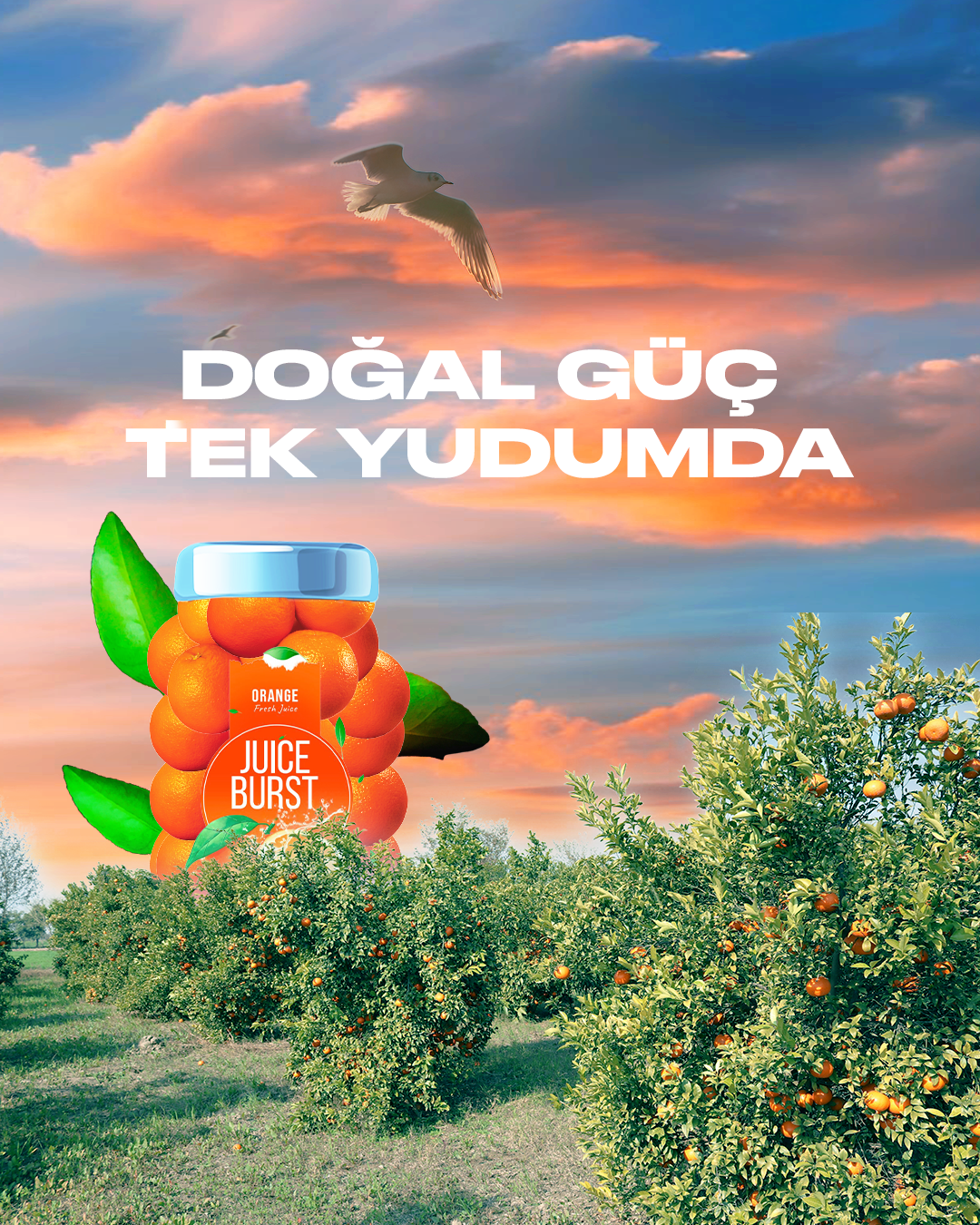 crowd of people on a town square