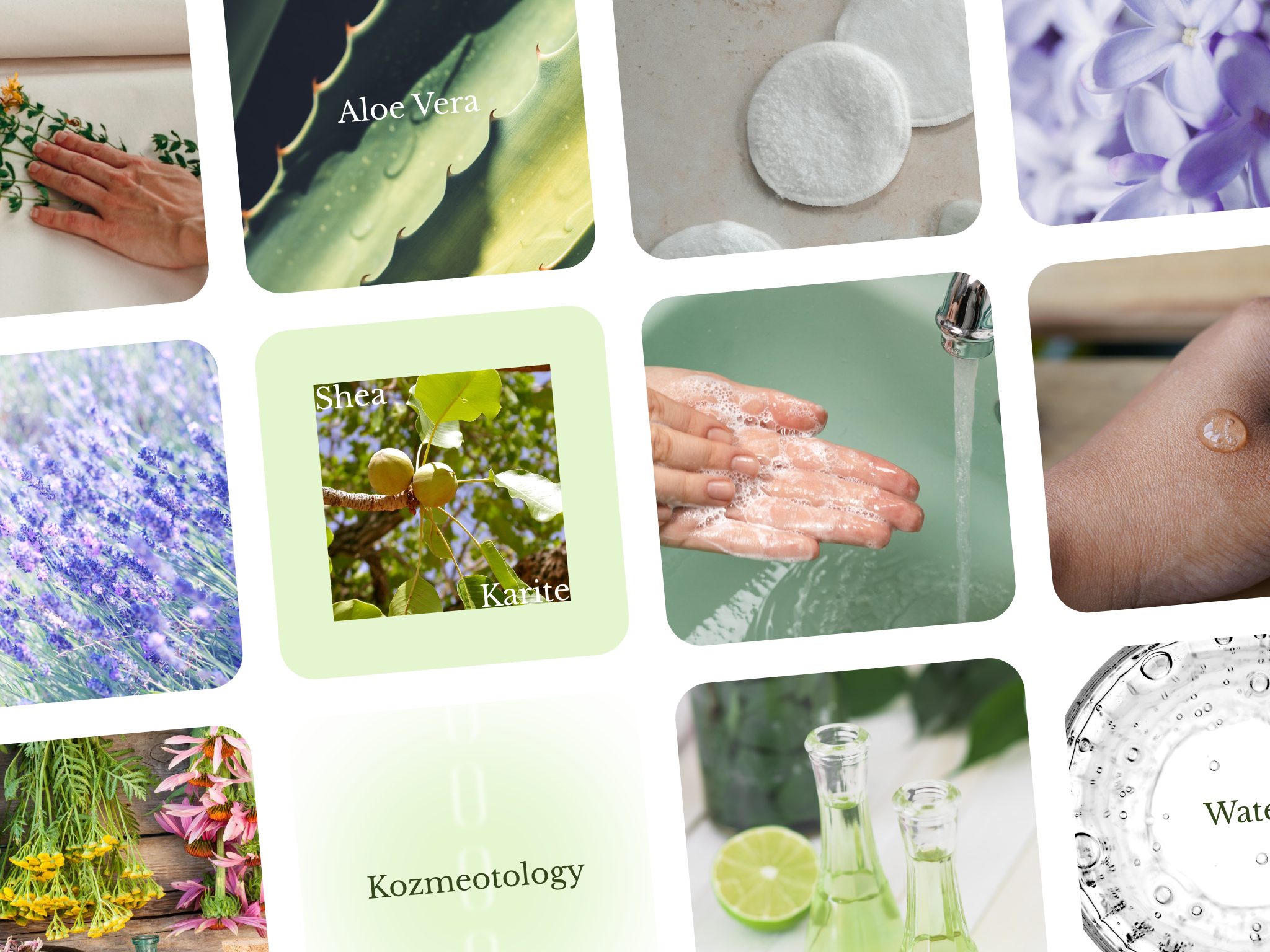 people dancing on square